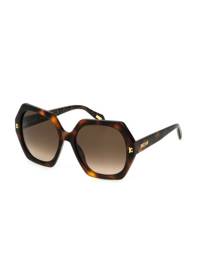 اشتري Women's Acetate Sunglasses SJC087 560752 - Lens Size: 56 Mm - Shiny Dark Havana في السعودية