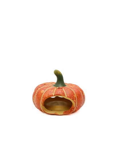 اشتري AKDC Pumpkin Candle Holder, A Delightful Accent Piece That Adds A Warm And Festive Ambiance To Any Room في الامارات