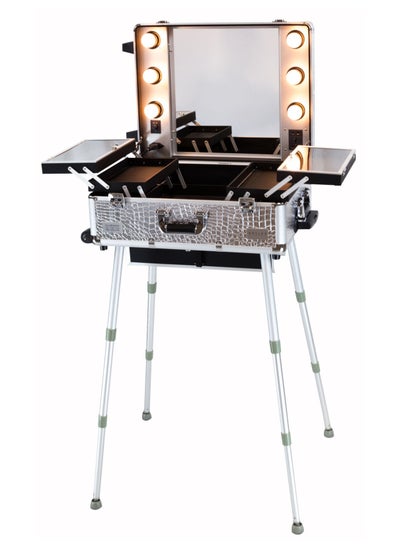 Buy Makeup Train Stand Case With Pro Studio Artist Trolley And Lights, Silver  Medium in UAE