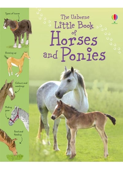 اشتري Little Book of Horses and Ponies في الامارات