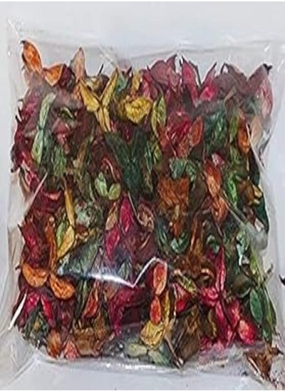 اشتري Dried Flowers for Home Decor (Multicolor) في مصر