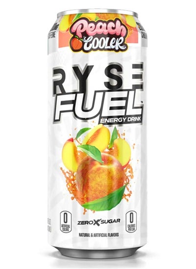 Buy Fuel Energy Drink, Peach Cooler, 1 Can in UAE