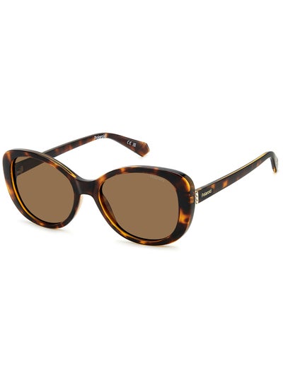 Buy Women's Polarized Rectangular Sunglasses - Pld 4154/S/X Brown Millimeter - Lens Size: 55 Mm in Saudi Arabia