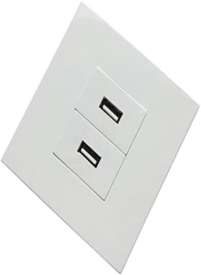 Buy Face Plate for Home and Office. (2-PORT-USB) in UAE