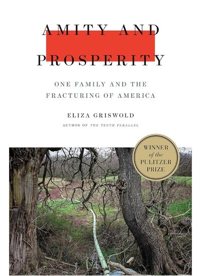 اشتري Amity and Prosperity: One Family and the Fracturing of America في الامارات