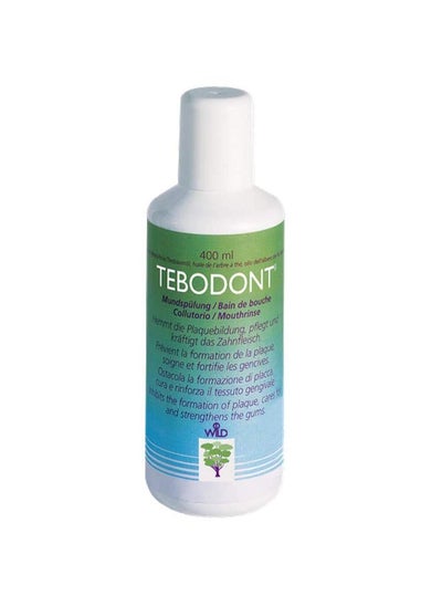 اشتري Tebodont Mouth Rinse 400ml في الامارات