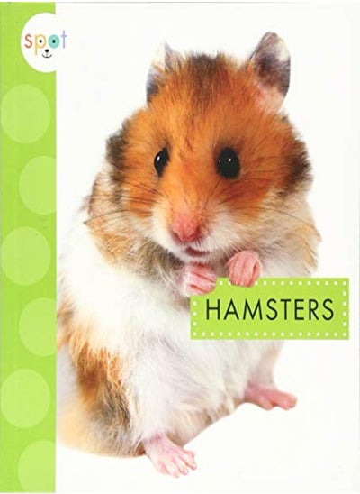 اشتري Hamsters في الامارات