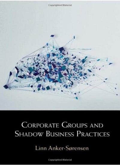 اشتري Corporate Groups And Shadow Business Practices في الامارات