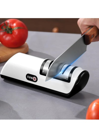 Professional 2 Stage Electric Knife Sharpener and Polisher for Kitchen ...