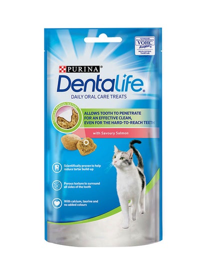 Buy Dentalife Cat With Savoury Salmon White 40grams in UAE