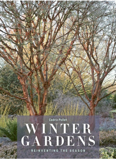 Buy Winter Gardens : Reinventing the Season in Saudi Arabia