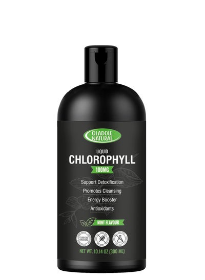 Buy Oladole Natural Liquid Chlorophyll Mint Flavor 100mg 300ml Support Detoxification Promotes Cleansing Energy Booster & Antioxidants in UAE