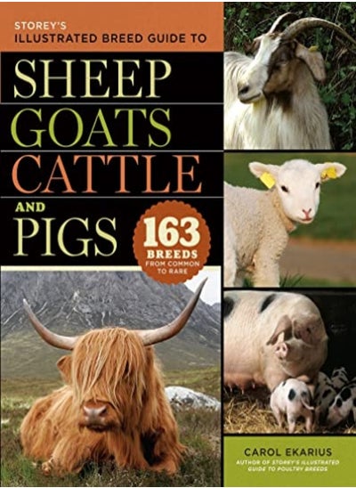 اشتري Storey's Illustrated Breed Guide to Sheep, Goats, Cattle and Pigs في الامارات