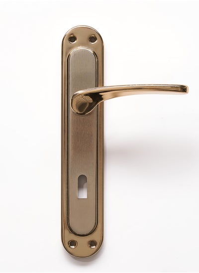 Buy Siag Bedroom Door Handle in Egypt