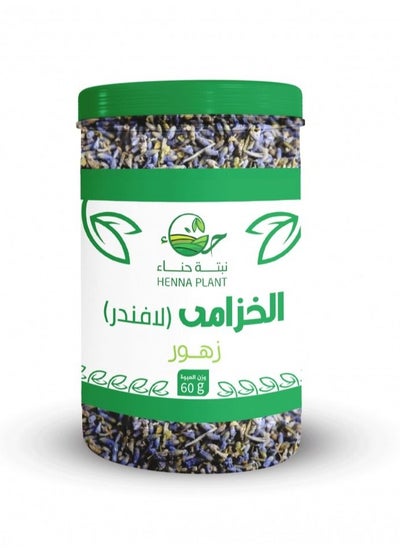 Buy Dried Lavender Herb 60 Grams in Saudi Arabia