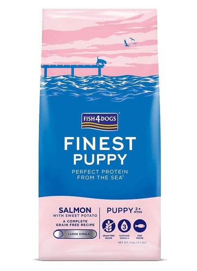 اشتري Puppy Salmon Sweet Potato Large Kibble Dry Food 6kg في الامارات