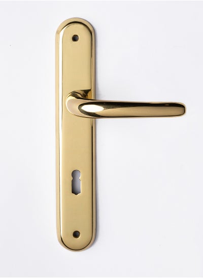 Buy Remo Bedroom Door Handle in Egypt