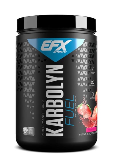 Efx Sports Karbolyn Fuel, Carb Load, Energize, Improve and Recover ...