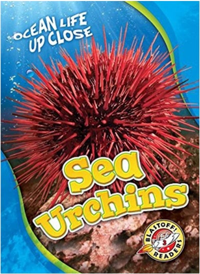 اشتري Sea Urchins في الامارات