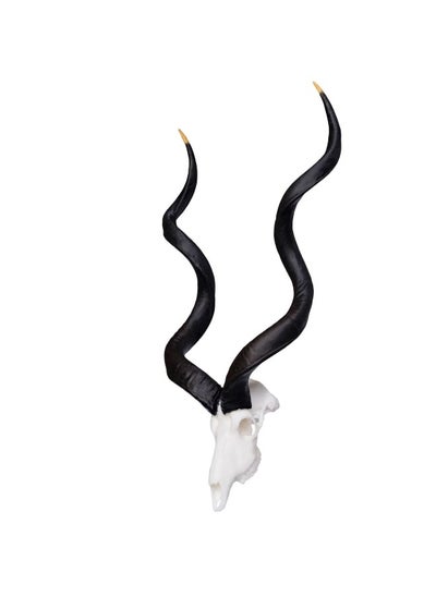 اشتري Southern Greater Kudu Miniature Replica Skull في الامارات