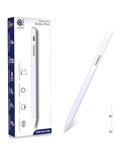 اشتري Stylus Pen, iPad Pencil With USB-C Charging Cable, Tilt Sensitivity & Magnetic adsorption Compatible With iPads Screen & Above, 2 Extra Nibs (White) في الامارات