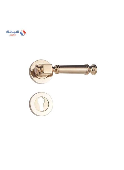 Buy Rosette Door handle Set Doganlar DRAGON Turkish – Golden matt in Egypt