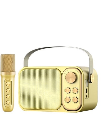 Buy Wireless Karaoke Speaker With Wireless Microphone in UAE