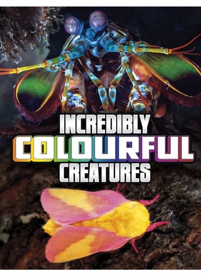 Buy Incredibly Colourful Creatures in UAE