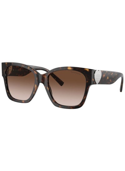 Buy Tiffany TF3096 62013B 60 Women's Sunglasses in UAE