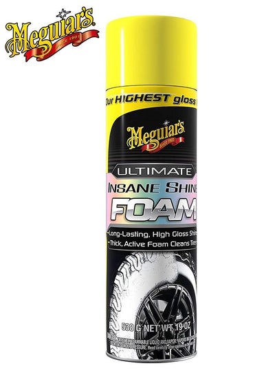 Buy G210419 Ultimate Insane Shine Foam 538g in UAE