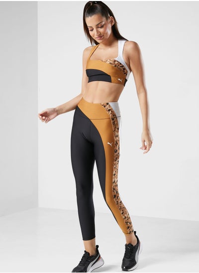 Buy Safari Glam women legging in UAE