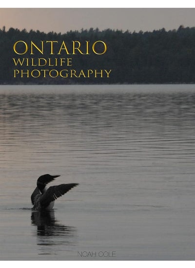 اشتري Ontario Wildlife Photography في الامارات