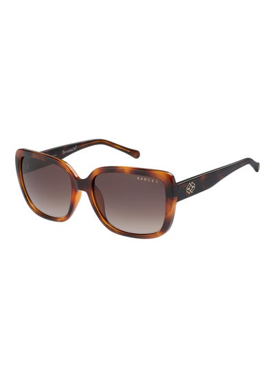 Buy RDS-6517 Women Wrap Polarized Sunglasses Brown 57 mm in UAE