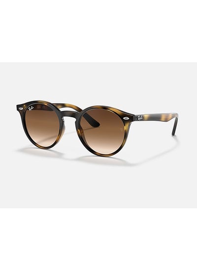 Buy Unisex Oval Sunglasses - RJ9064S 152/13 44 - Lens Size: 44 Mm in UAE