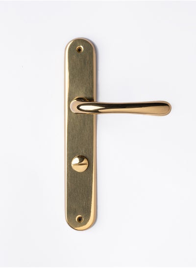 Buy Remo Bathroom Door Handle in Egypt