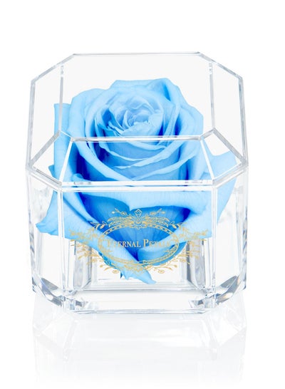 Buy Eternal Petals, A 100% Real Rose That Lasts Years - Gold Solo (Light Blue) in UAE