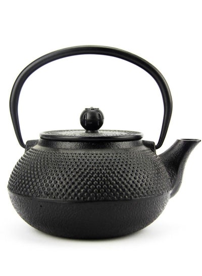 Buy Durable Enamelled Interior Cast Iron Teapot Coated with Enameled Interior 0.6 Liter Black in UAE