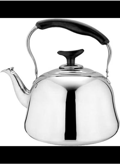 Buy Dessini Stainless Steel Tea Kettle With Strainler 3L in UAE