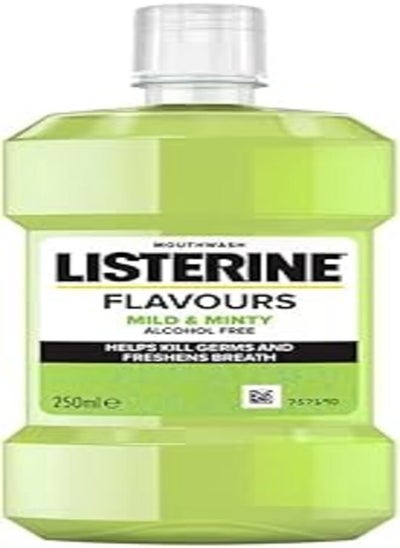 Buy Listerine Mild Minty Mouthwash 250ml in Egypt