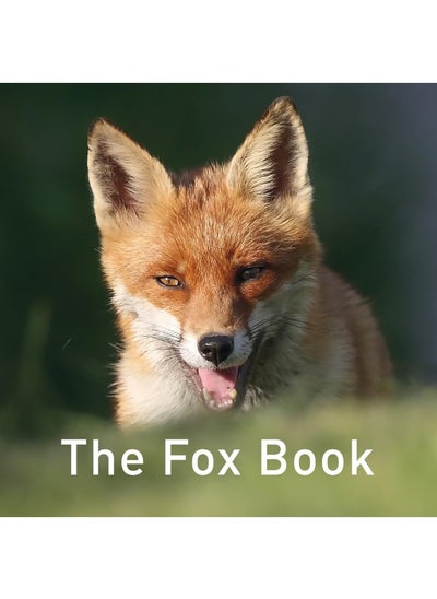 Buy The Fox Book in UAE