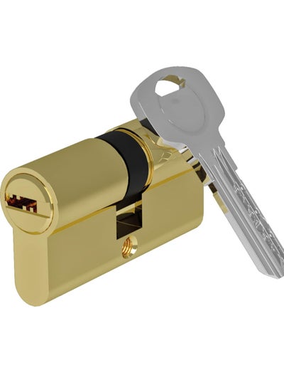 Buy Lock Cylinder 30/30mm with 5 Single Keys, Profile Cylinder Set with One Screw, Easy Mountable Lock for Doors and Garages, Length 60mm in Saudi Arabia