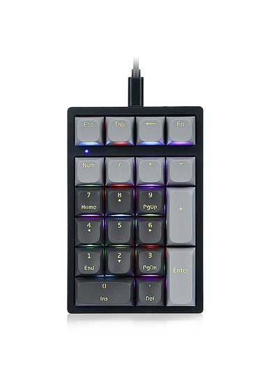 Buy K3 21 Keys Numeric Keyboard Ergonomic RGB Mechanical Keyboard with Detachable Data Cable Gateron GPRO Blue Switches in Saudi Arabia