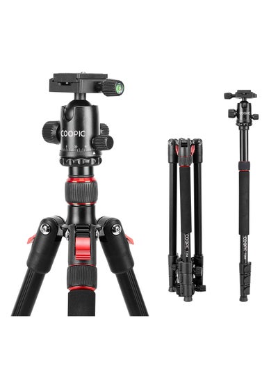 Buy T264 Portable Lightweight 2 in 1 Tripod and Monopod with Tripod bag used for SLR DSLR Cameras Max Load 5kg in UAE