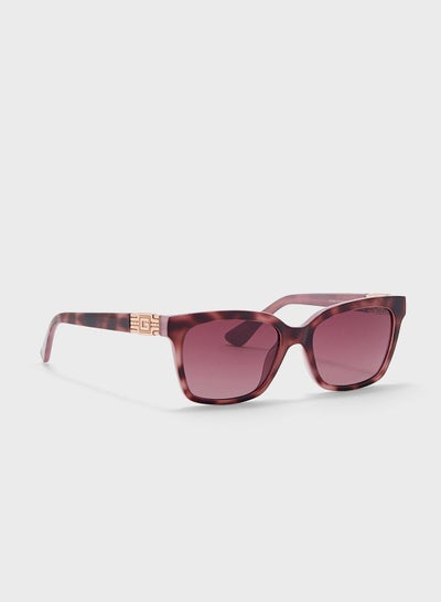 Buy Wayfarers Sunglasses in UAE