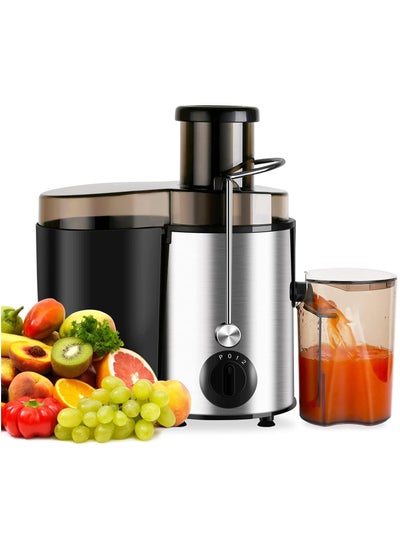 Buy WINNING STAR fruit juicer-ST-5546 in Saudi Arabia