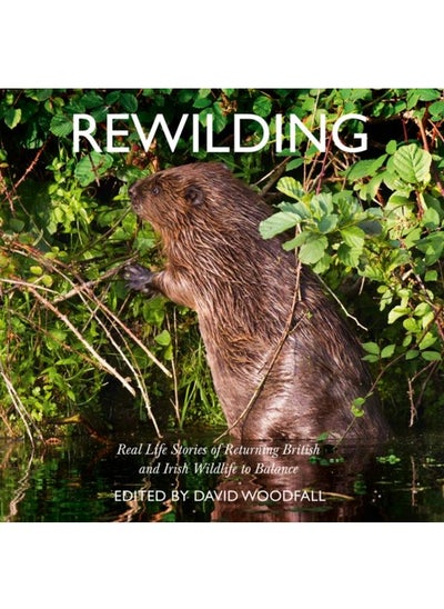 Buy Rewilding : Real Life Stories of Returning British and Irish Wildlife to Balance in UAE