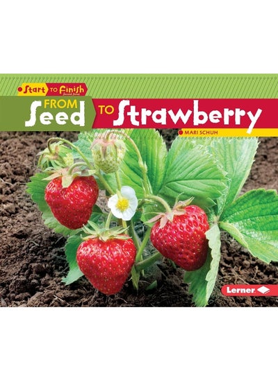 اشتري From Seed to Strawberry في الامارات