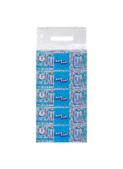 Buy Soft N Cool Facial Tissue Nylon Pack 200 Sheets 2Ply 5 Boxes in UAE