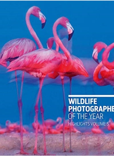 Buy Wildlife Photographer of the Year: Highlights Volume 5 in Saudi Arabia