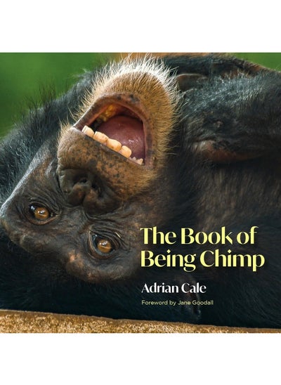 اشتري The Book of Being Chimp في الامارات